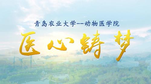 太阳集团tyc234cc宣传片